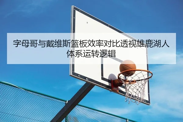 字母哥与戴维斯篮板效率对比透视雄鹿湖人体系运转逻辑